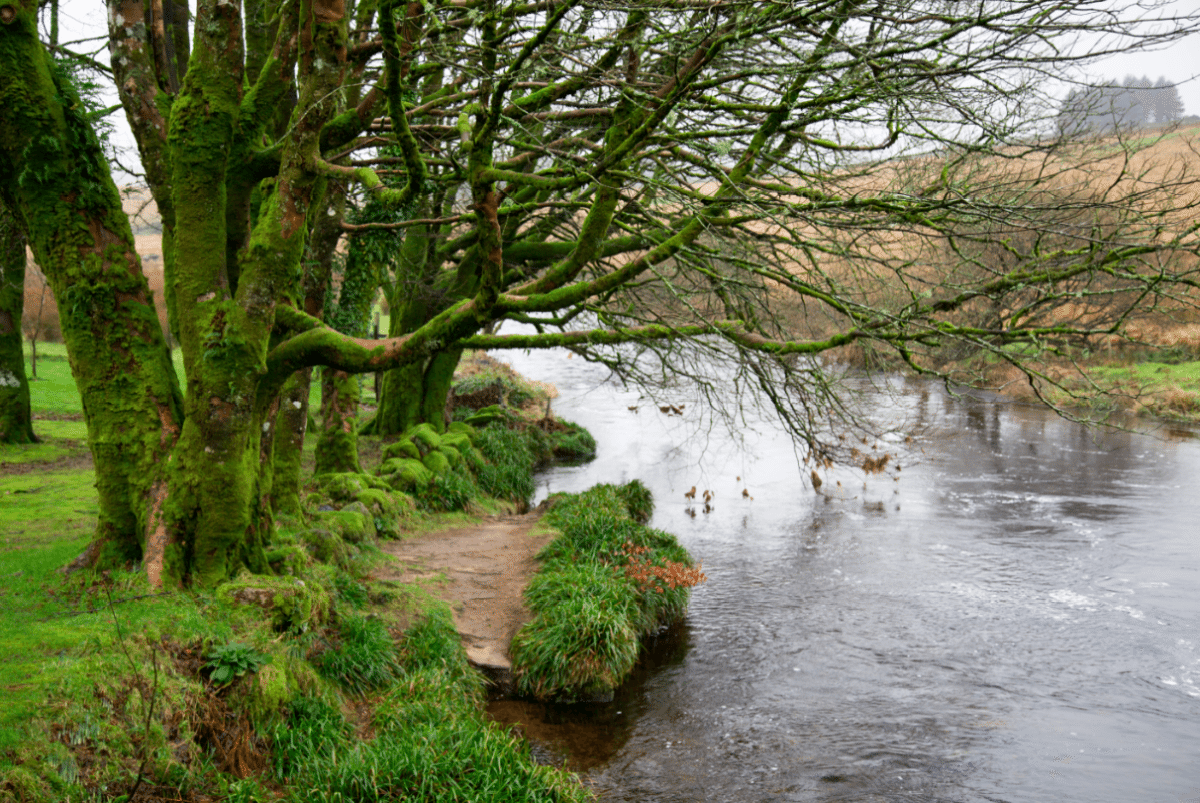 Dartmoor National Park, by Stephanie Sadler - Little Observationist