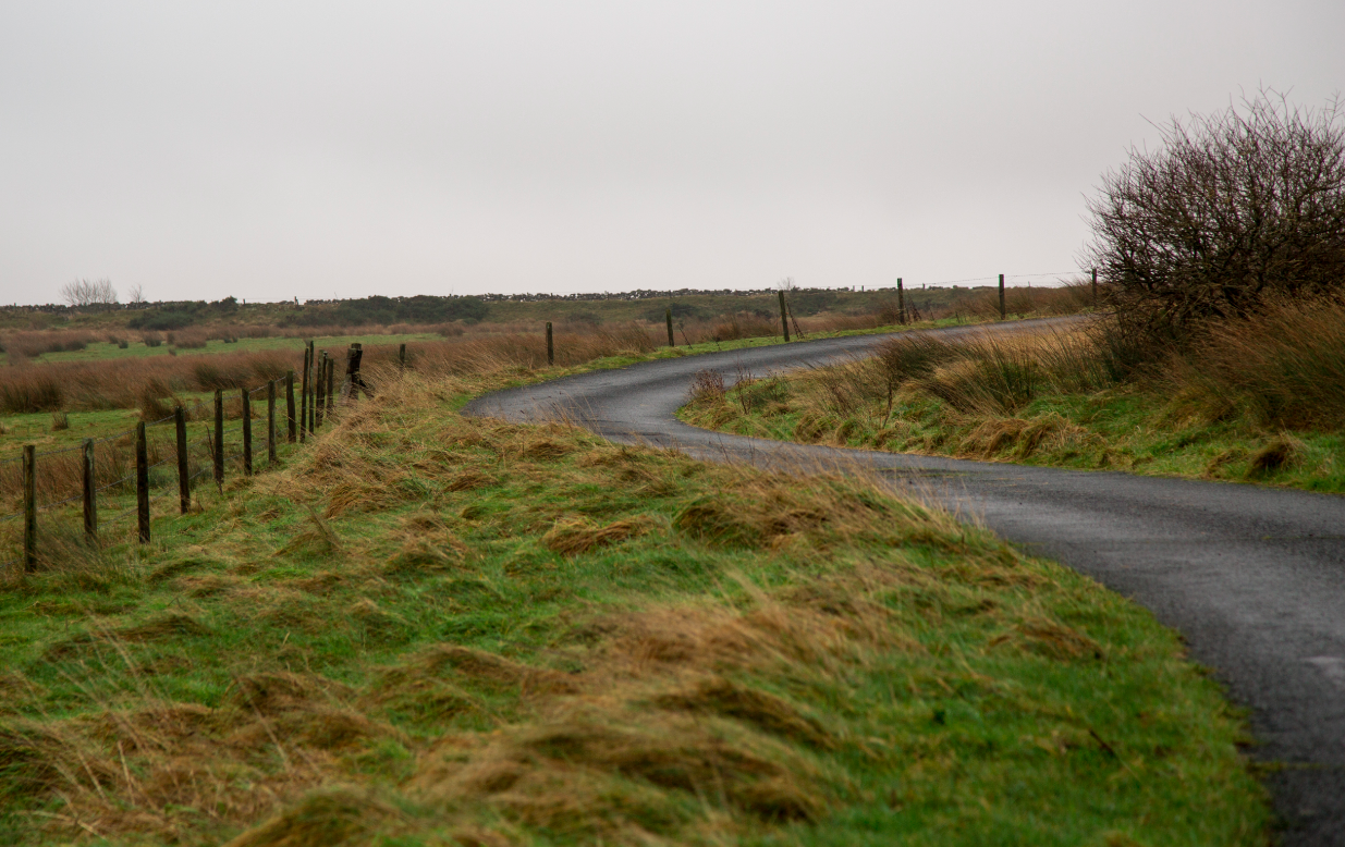 Dartmoor National Park, by Stephanie Sadler - Little Observationist