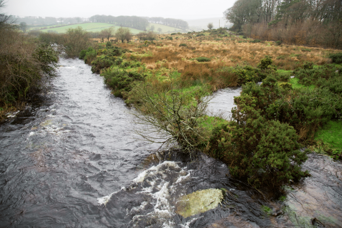 Dartmoor National Park, by Stephanie Sadler - Little Observationist