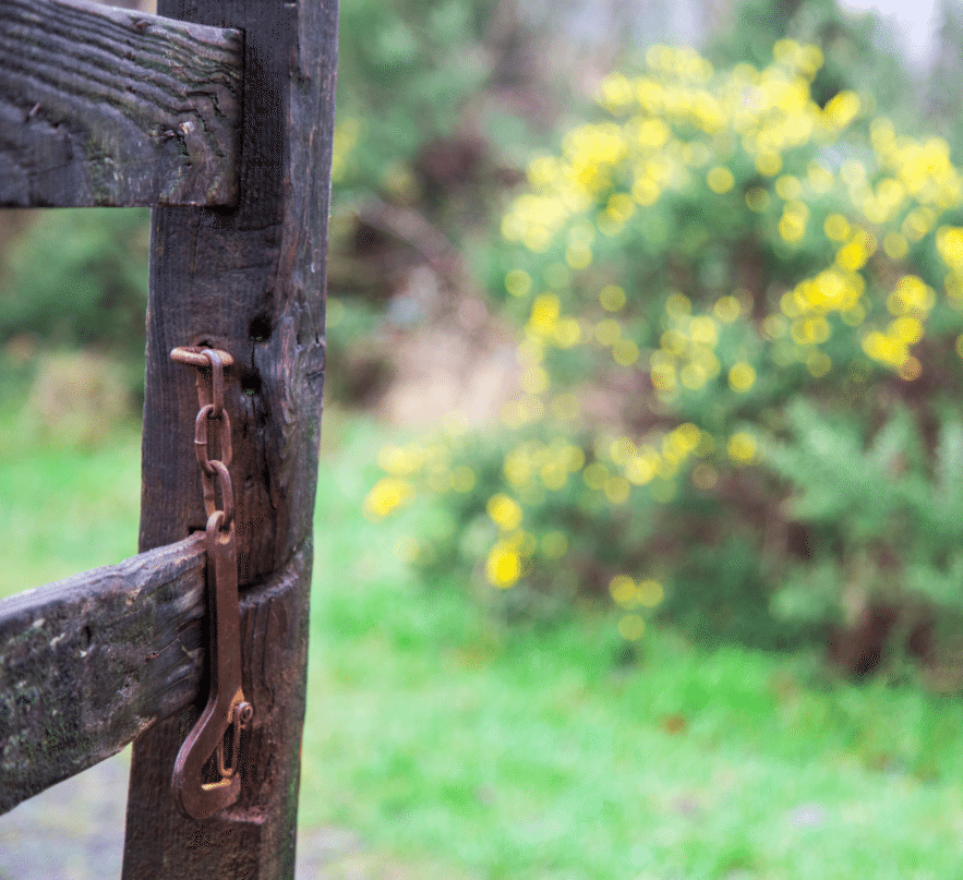 Dartmoor National Park, by Stephanie Sadler - Little Observationist