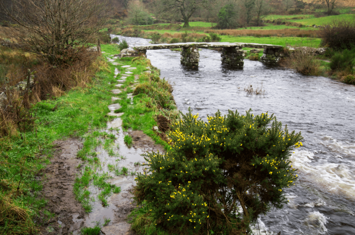 Dartmoor National Park, by Stephanie Sadler - Little Observationist