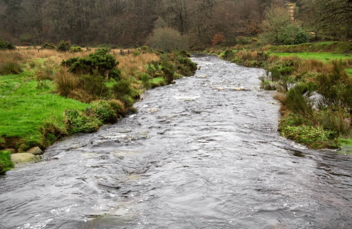 Dartmoor National Park, by Stephanie Sadler - Little Observationist