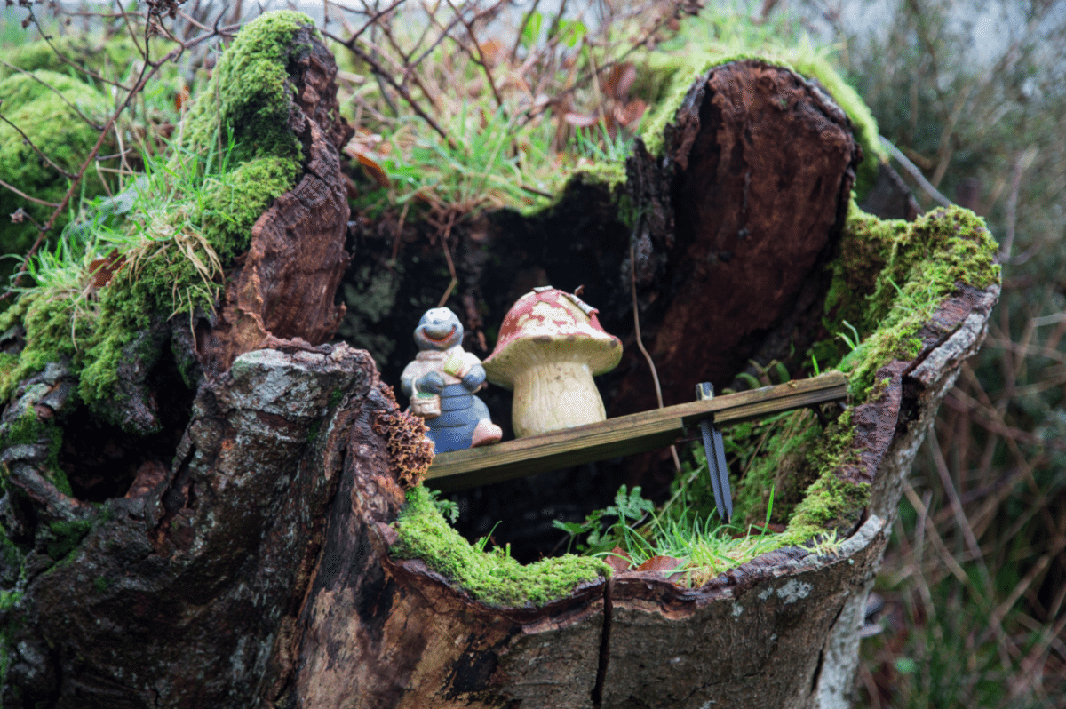 Dartmoor National Park, by Stephanie Sadler - Little Observationist