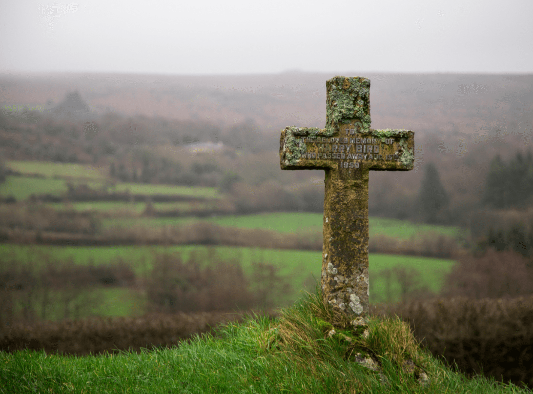 Dartmoor National Park, by Stephanie Sadler - Little Observationist