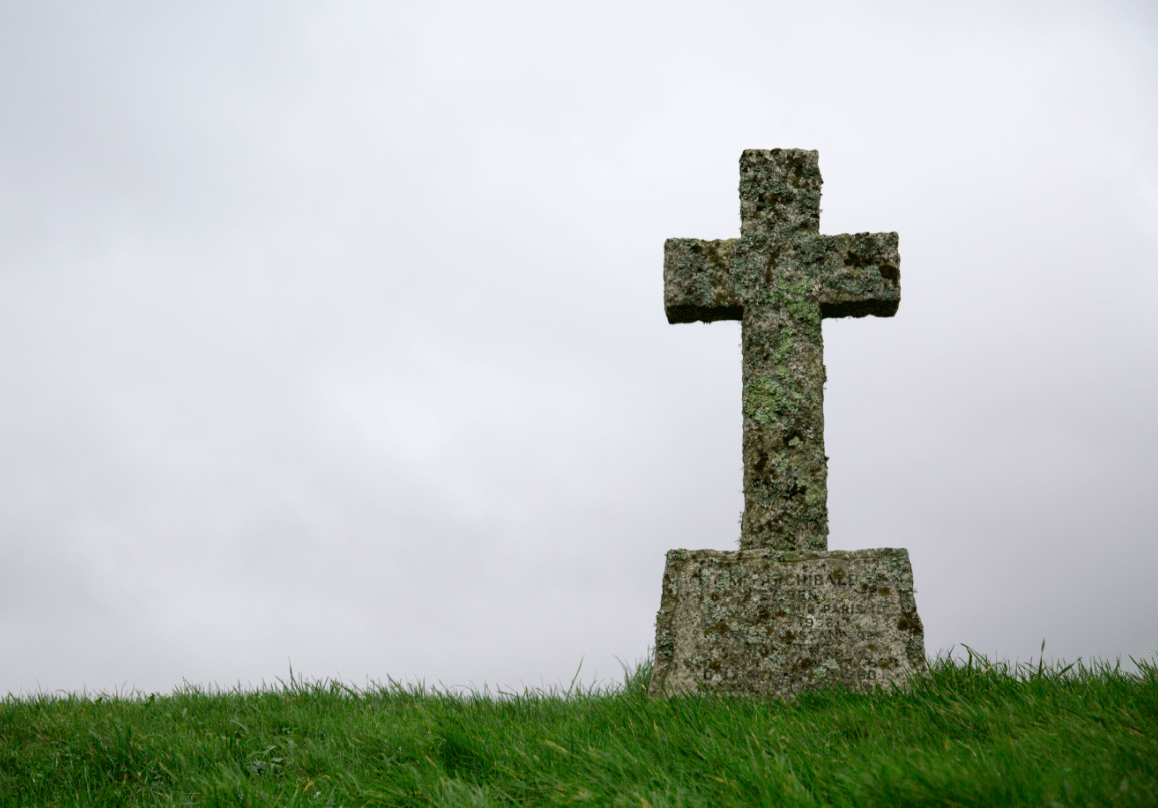 Dartmoor National Park, by Stephanie Sadler - Little Observationist