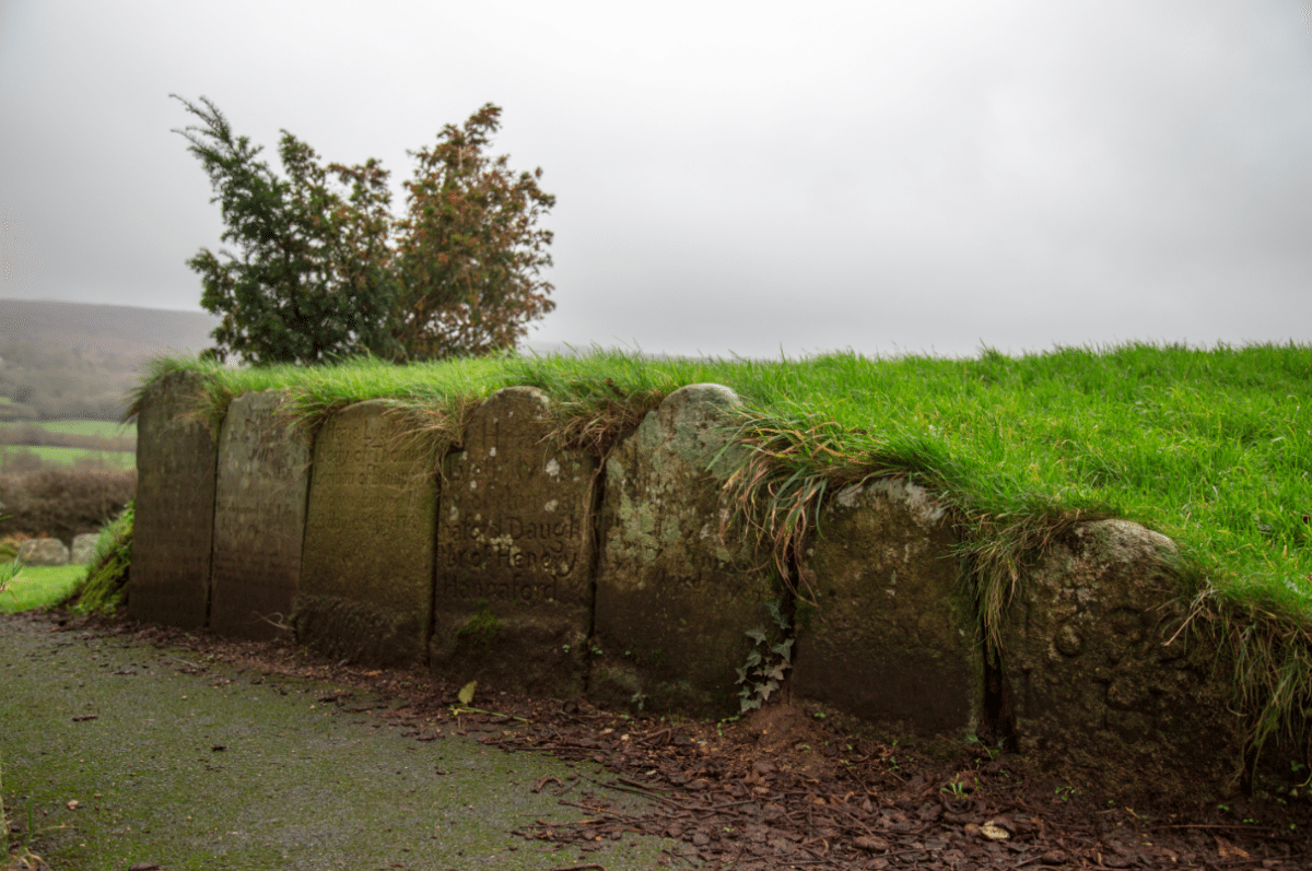 Dartmoor National Park, by Stephanie Sadler - Little Observationist