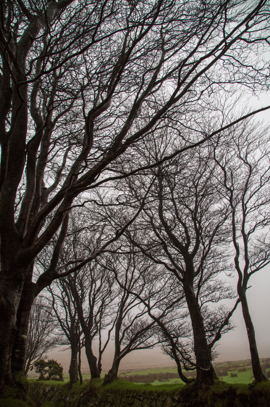 Dartmoor National Park, by Stephanie Sadler - Little Observationist