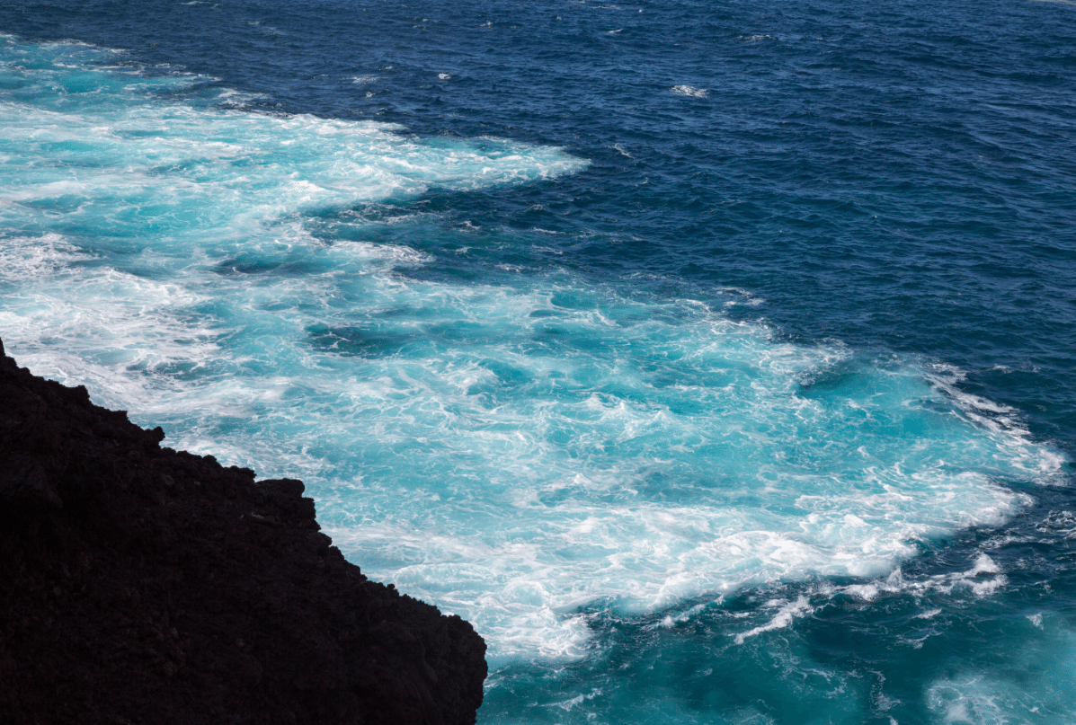 Tenerife, Canary Islands by Stephanie Sadler, Little Observationist