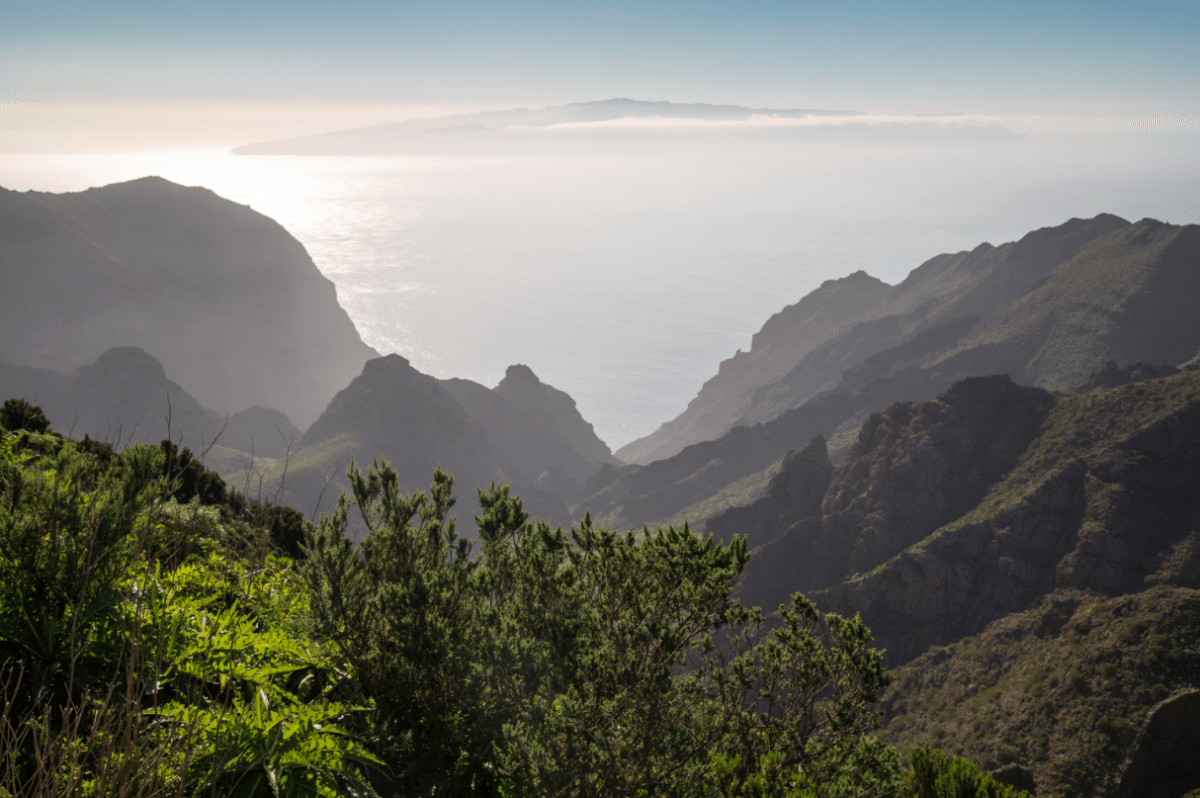 Tenerife, Canary Islands by Stephanie Sadler, Little Observationist