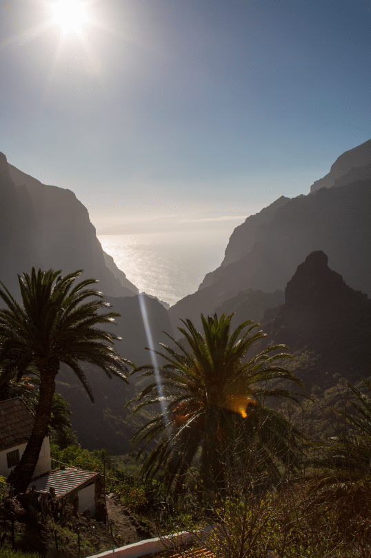 Tenerife, Canary Islands by Stephanie Sadler, Little Observationist