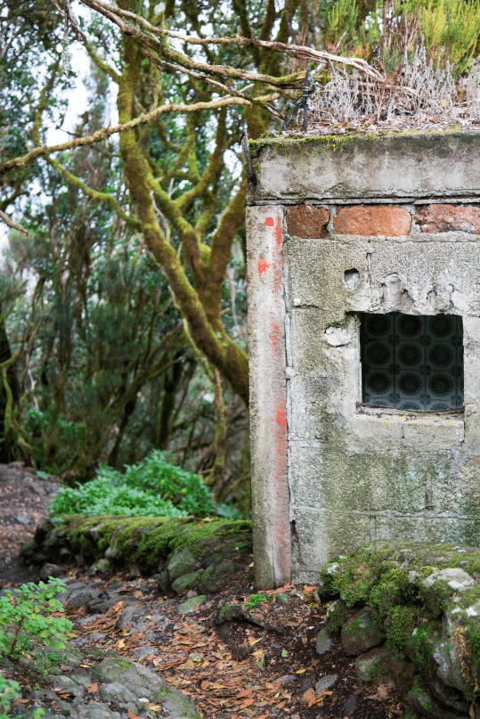 Tenerife, Canary Islands by Stephanie Sadler, Little Observationist