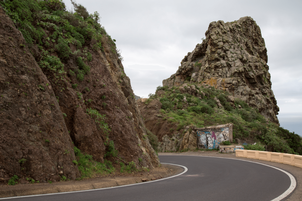 Tenerife, Canary Islands by Stephanie Sadler, Little Observationist