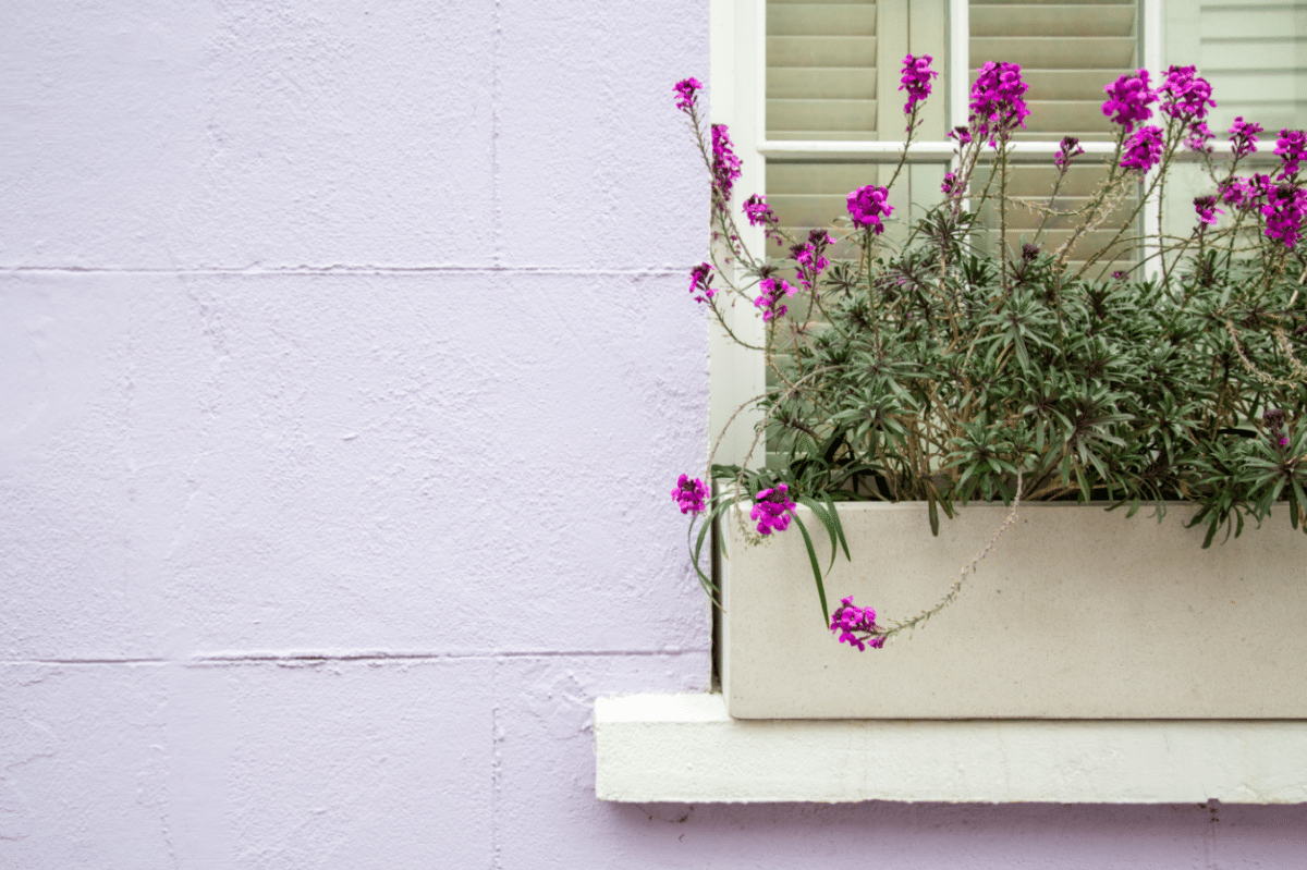 Colourful Houses of Notting Hill, London by Stephanie Sadler, Little Observationist