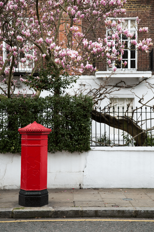 Chelsea, London by Stephanie Sadler, Little Observationist