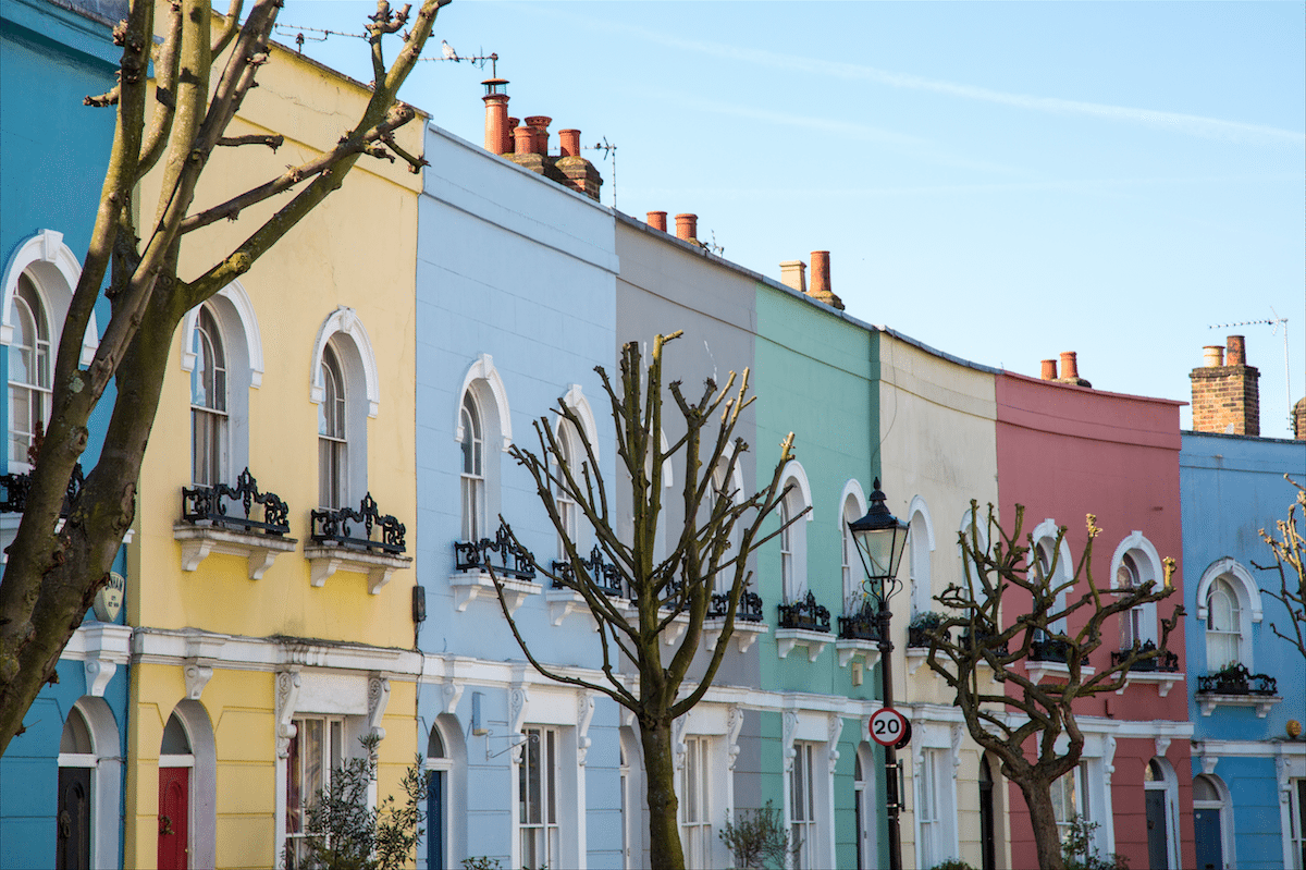 North London Walk by Stephanie Sadler, Little Observationist