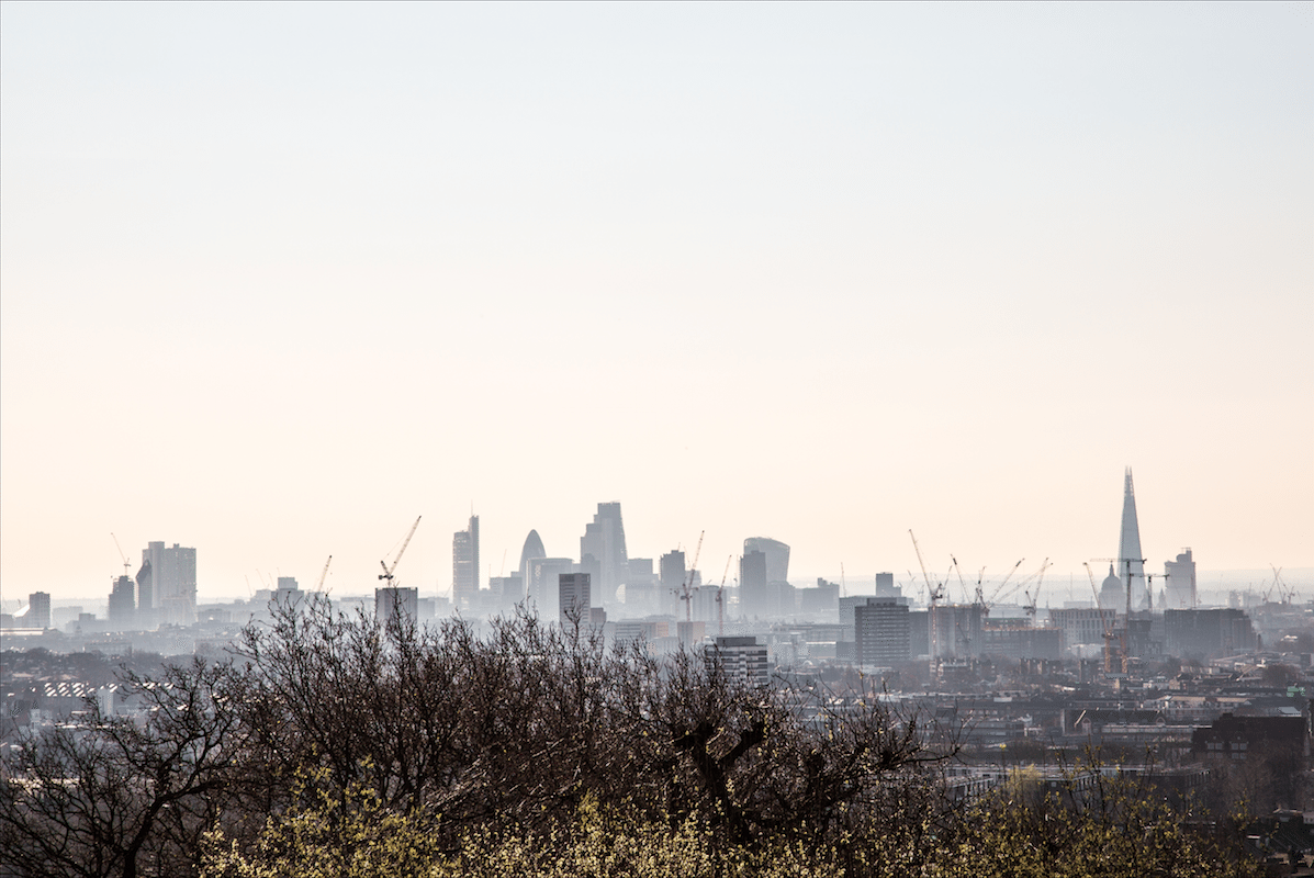 North London Walk by Stephanie Sadler, Little Observationist