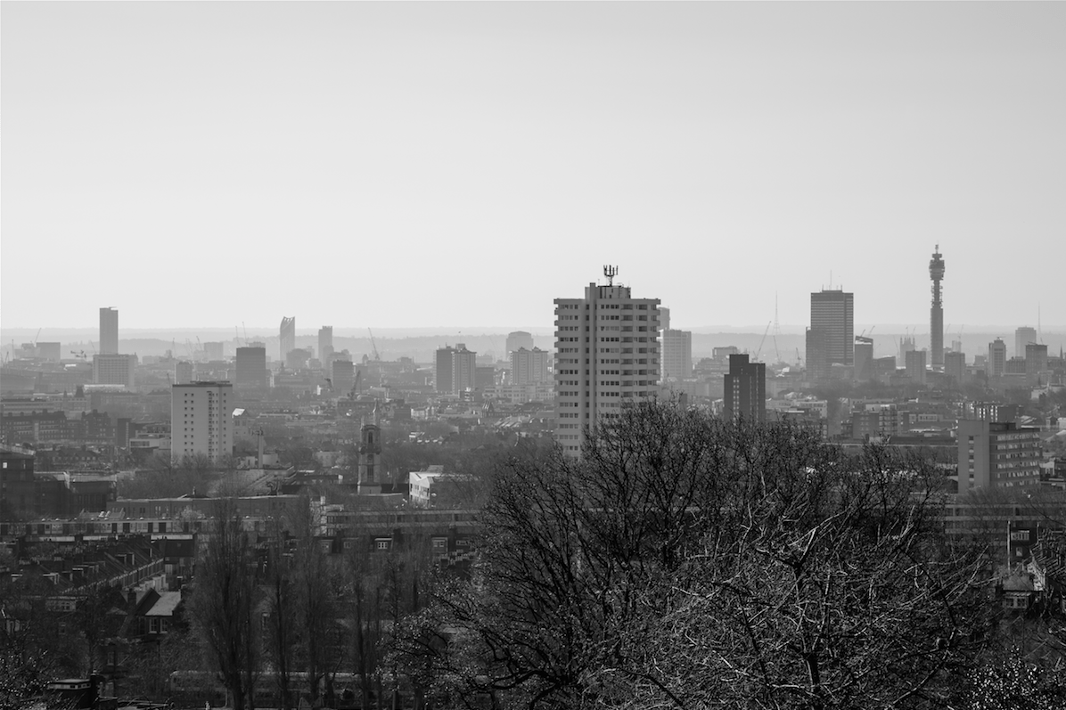 North London Walk by Stephanie Sadler, Little Observationist