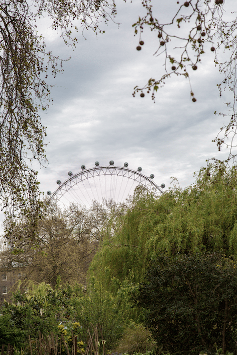 Central London Stories by Stephanie Sadler, Little Observationist