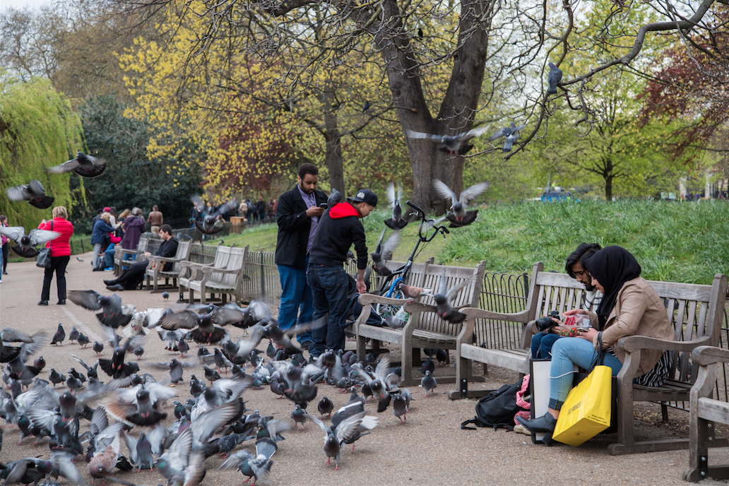 Central London Stories by Stephanie Sadler, Little Observationist