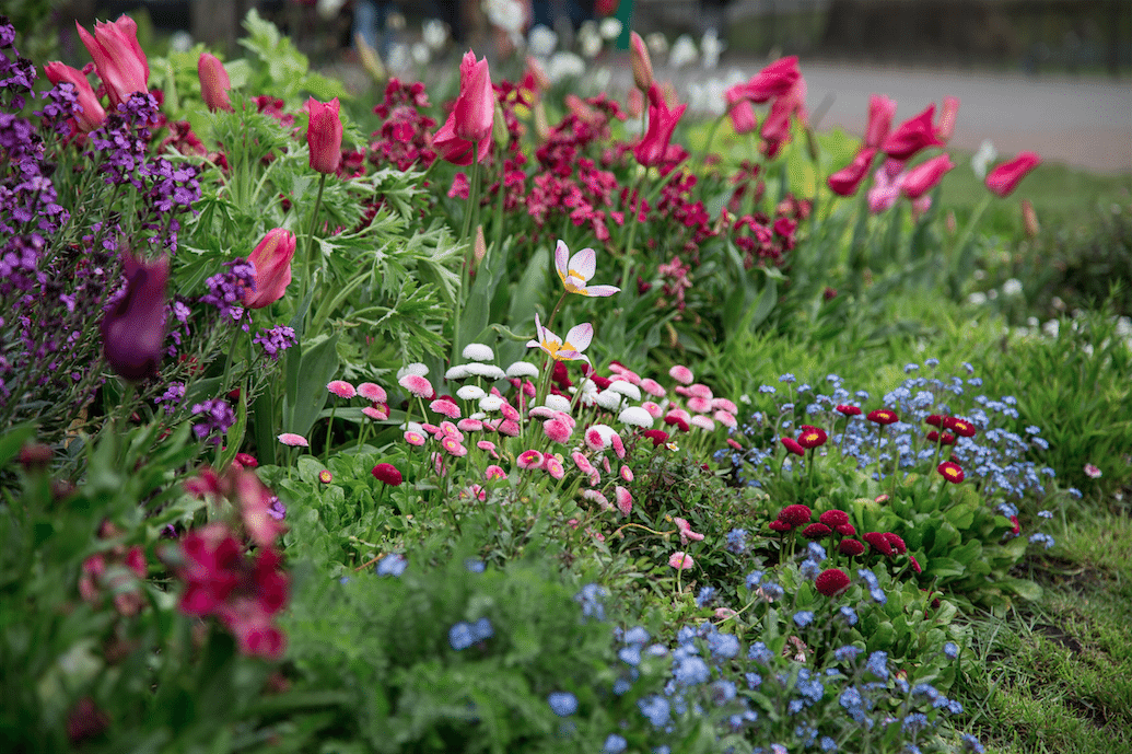 Central London Stories by Stephanie Sadler, Little Observationist