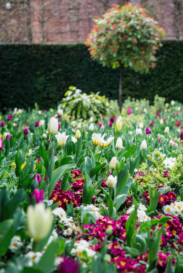 Holland Park by Stephanie Sadler, Little Observationist