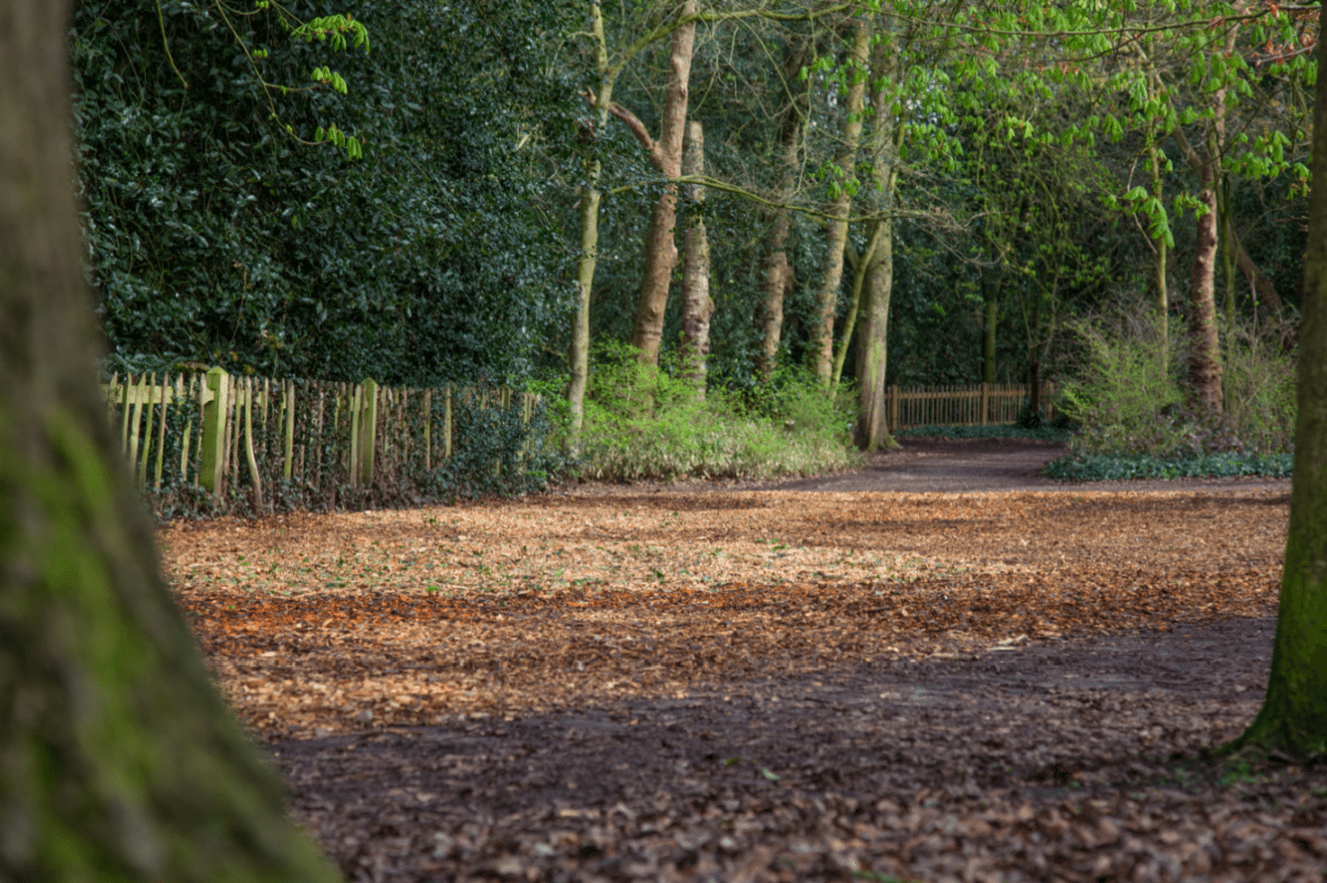 Holland Park by Stephanie Sadler, Little Observationist