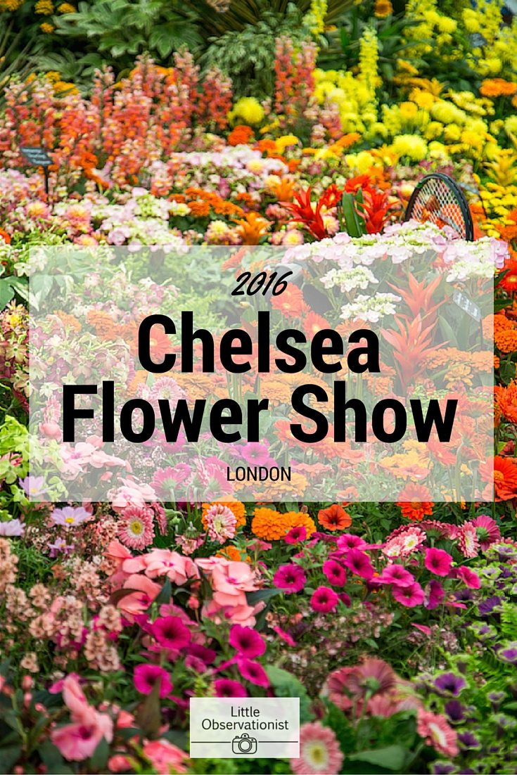 Chelsea Flower Show by Stephanie Sadler, Little Observationist