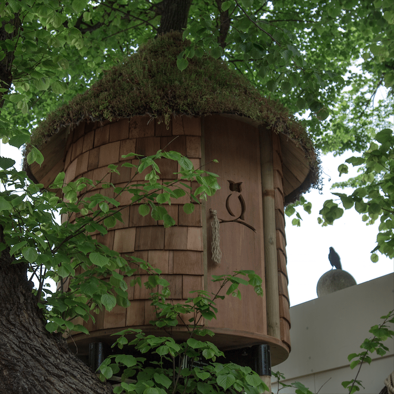 Chelsea Flower Show by Stephanie Sadler, Little Observationist