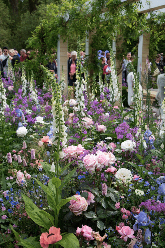 Chelsea Flower Show by Stephanie Sadler, Little Observationist