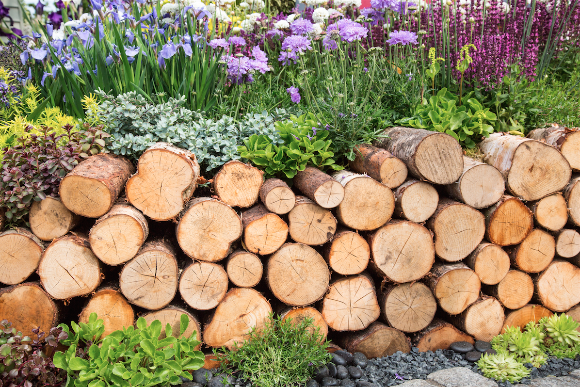 Chelsea Flower Show by Stephanie Sadler, Little Observationist