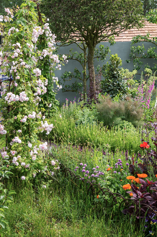 Chelsea Flower Show by Stephanie Sadler, Little Observationist