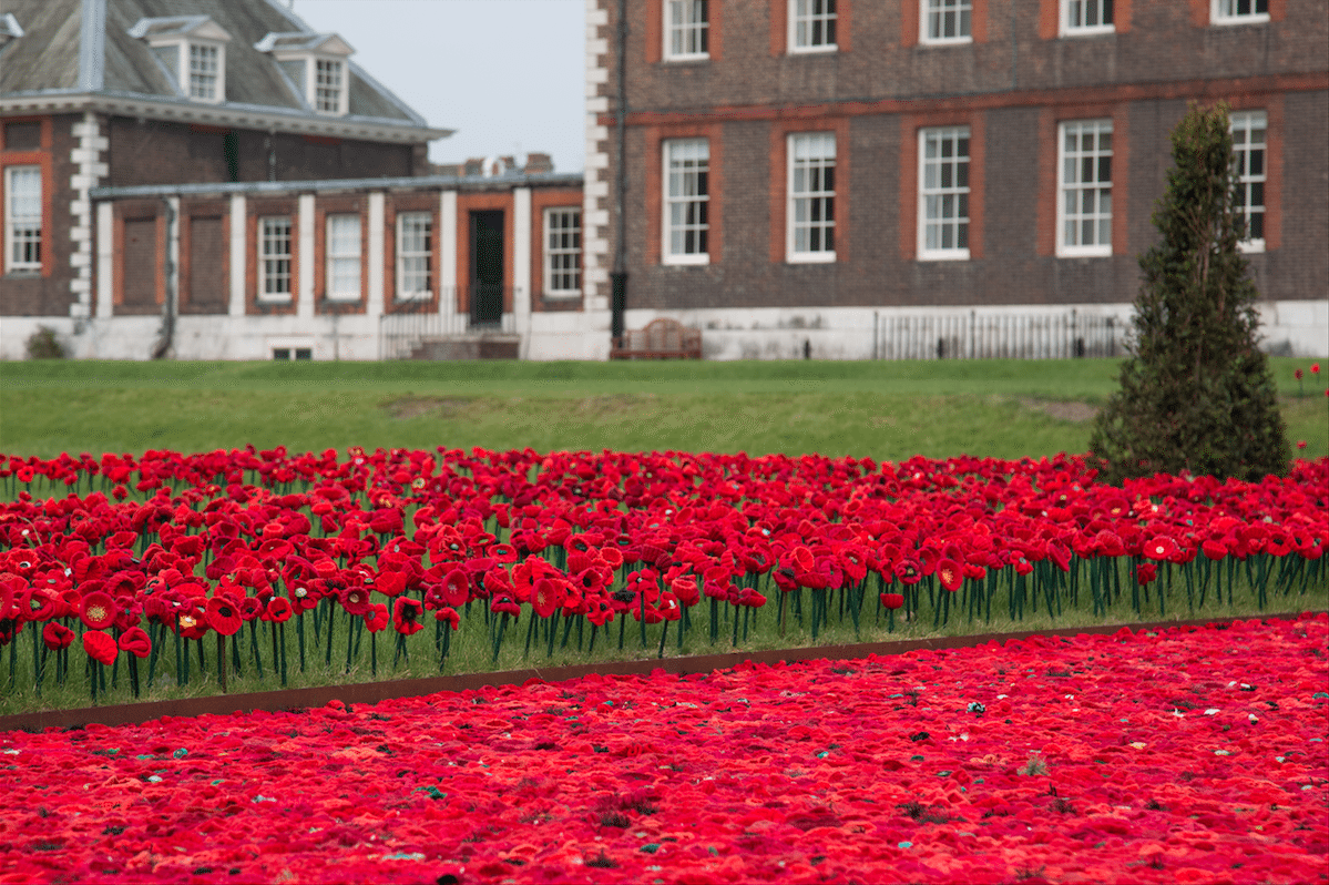 Chelsea Flower Show by Stephanie Sadler, Little Observationist