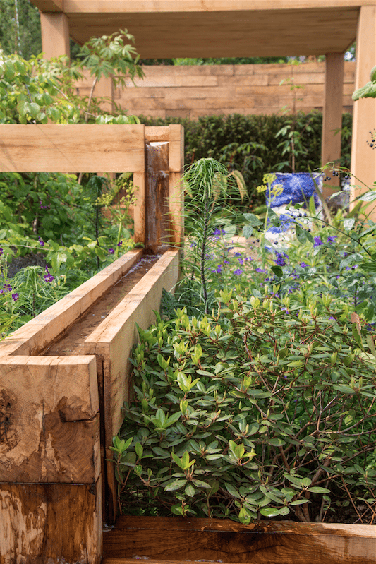 Chelsea Flower Show by Stephanie Sadler, Little Observationist