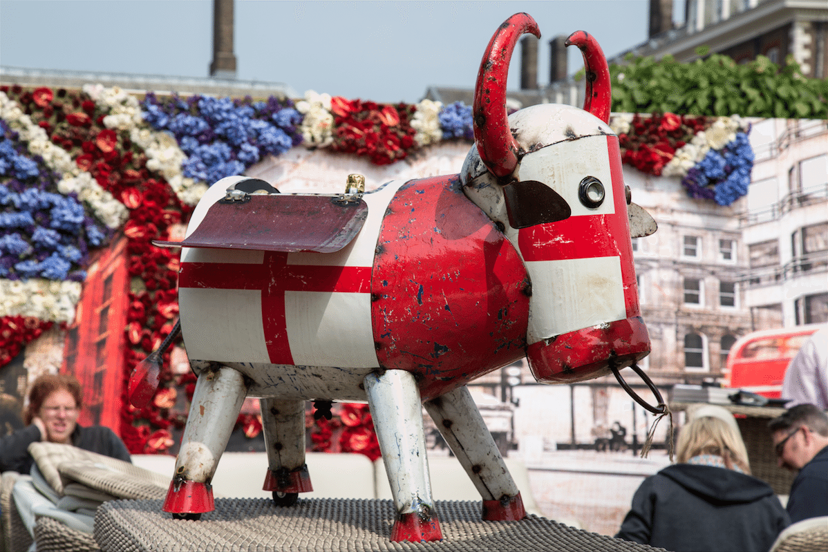 Chelsea Flower Show by Stephanie Sadler, Little Observationist