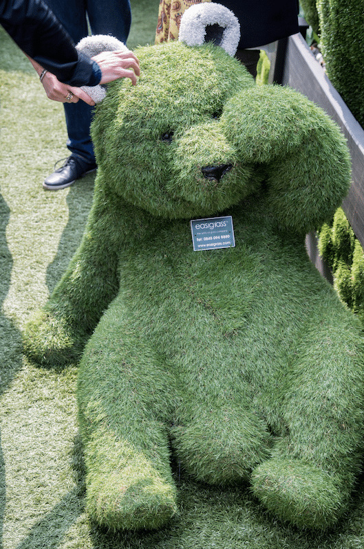 Chelsea Flower Show by Stephanie Sadler, Little Observationist