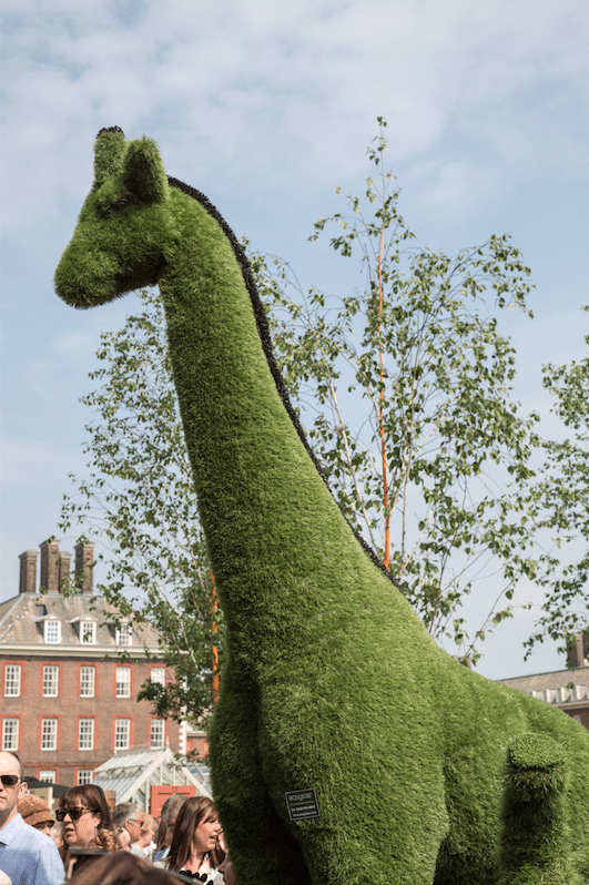 Chelsea Flower Show by Stephanie Sadler, Little Observationist