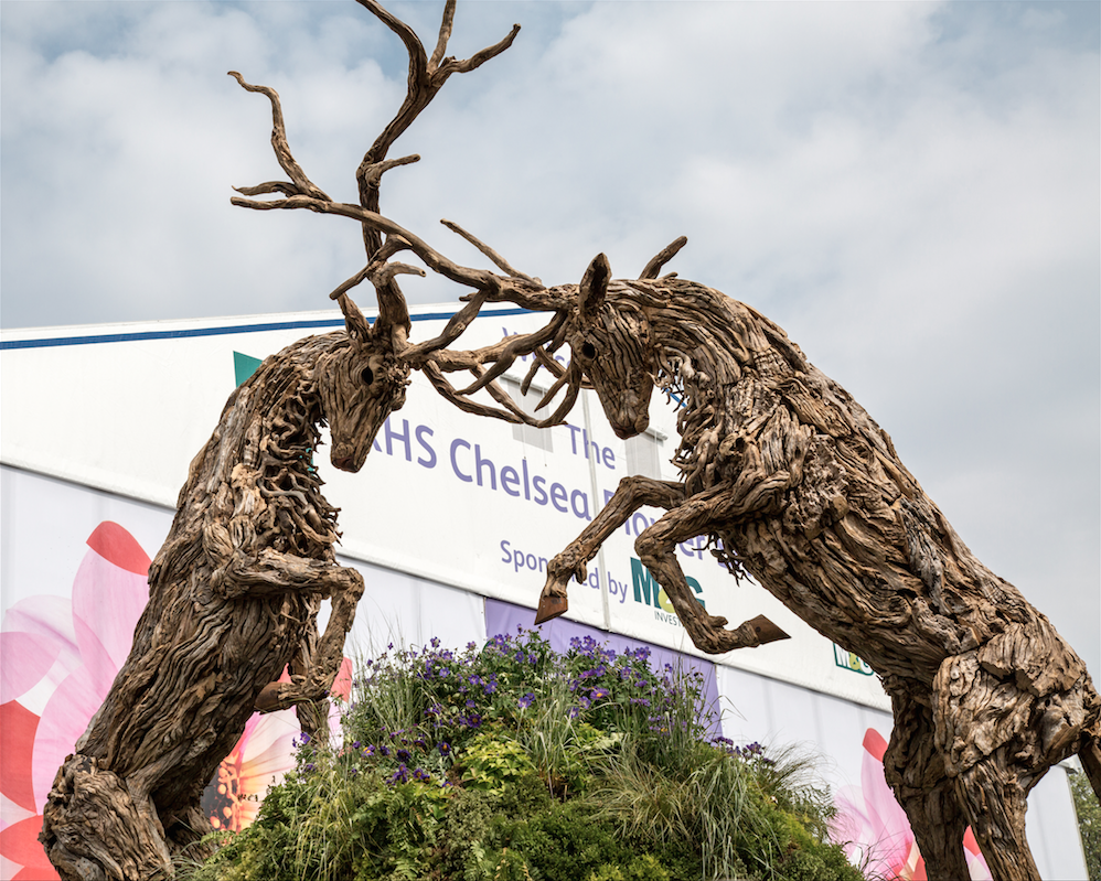 Chelsea Flower Show by Stephanie Sadler, Little Observationist