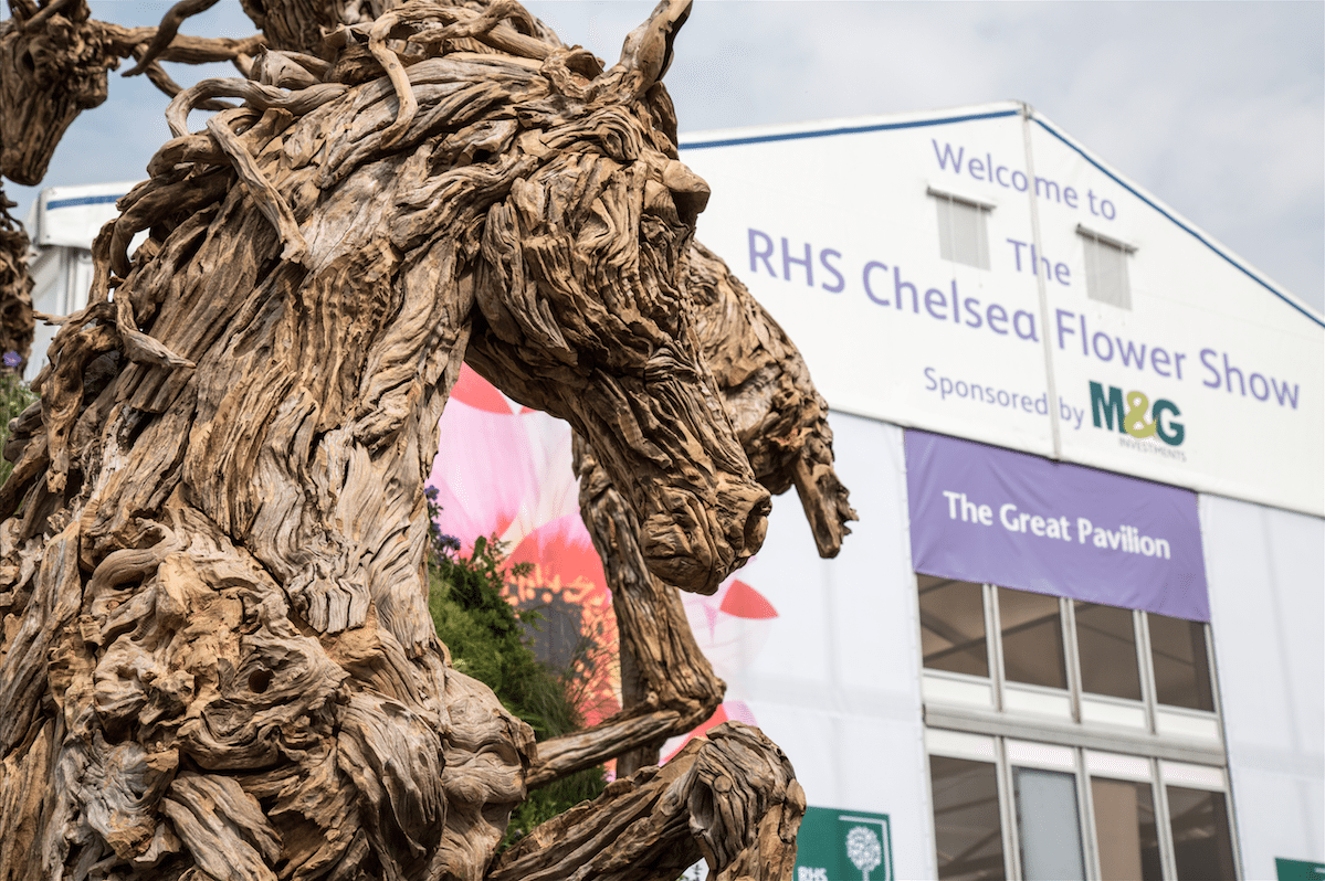 Chelsea Flower Show by Stephanie Sadler, Little Observationist