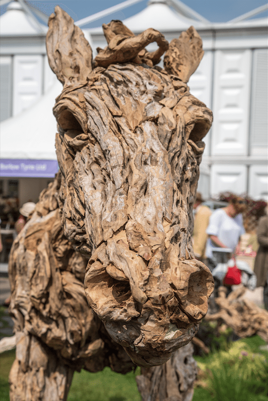 Chelsea Flower Show by Stephanie Sadler, Little Observationist