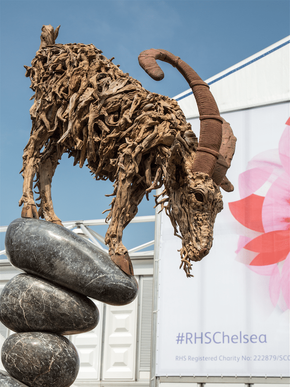 Chelsea Flower Show by Stephanie Sadler, Little Observationist