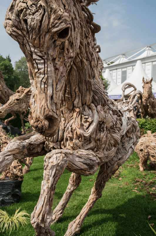 Chelsea Flower Show by Stephanie Sadler, Little Observationist