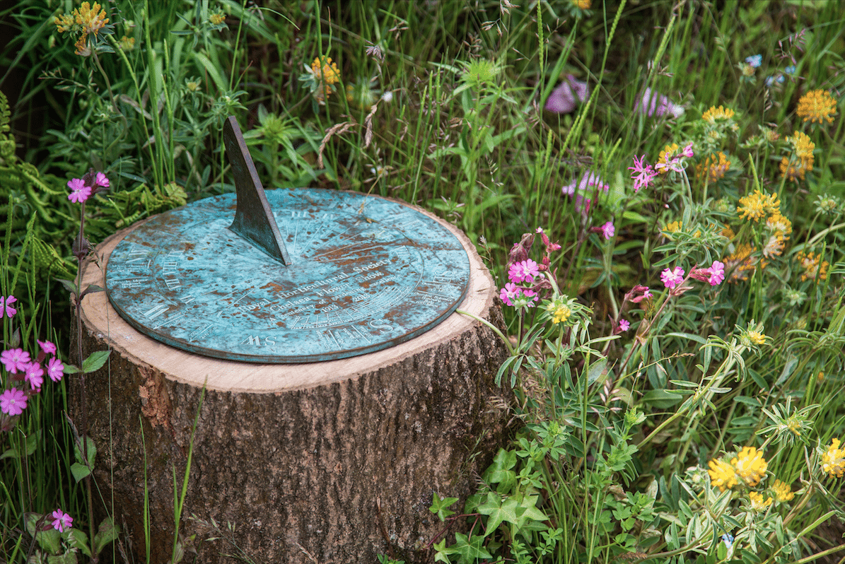 Chelsea Flower Show by Stephanie Sadler, Little Observationist