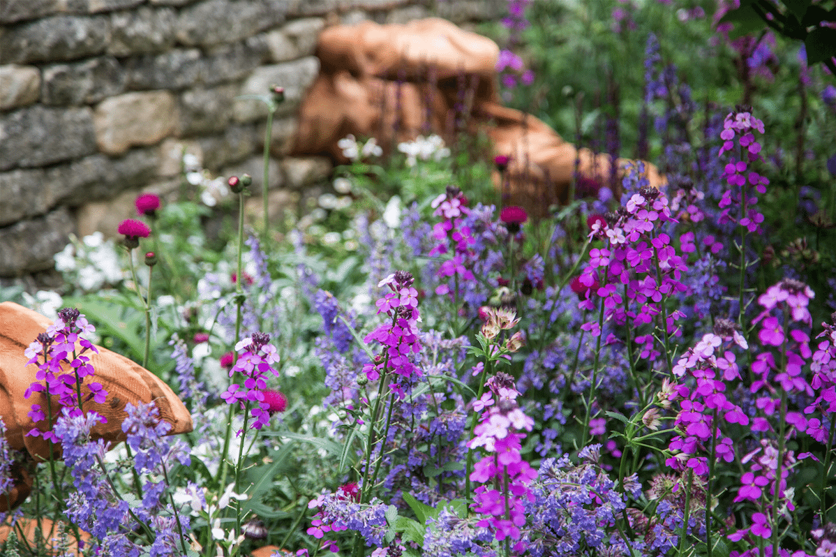 Chelsea Flower Show by Stephanie Sadler, Little Observationist