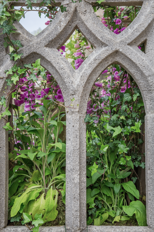 Chelsea Flower Show by Stephanie Sadler, Little Observationist