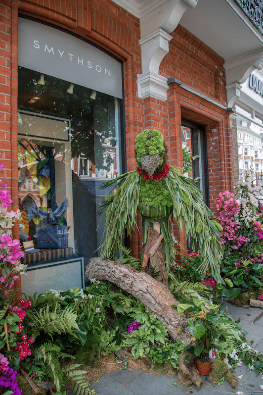 Chelsea Flower Show by Stephanie Sadler, Little Observationist