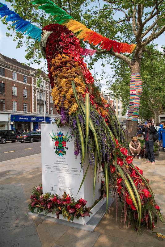 Chelsea Flower Show by Stephanie Sadler, Little Observationist