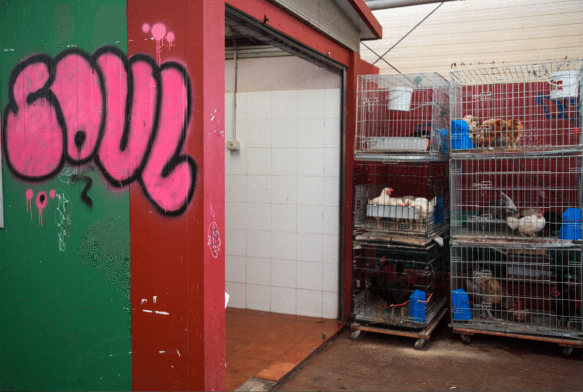 Tenerife - La Laguna Market by Stephanie Sadler, Little Observationist