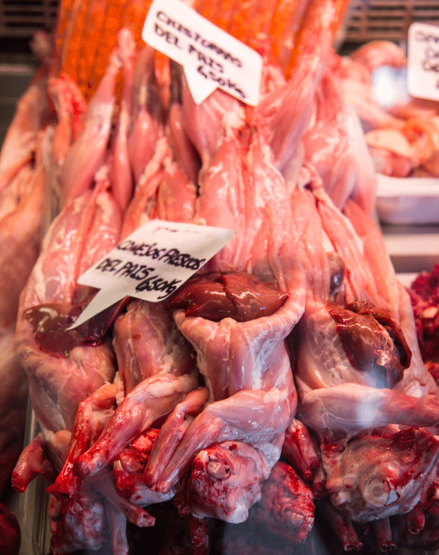 Tenerife - La Laguna Market by Stephanie Sadler, Little Observationist