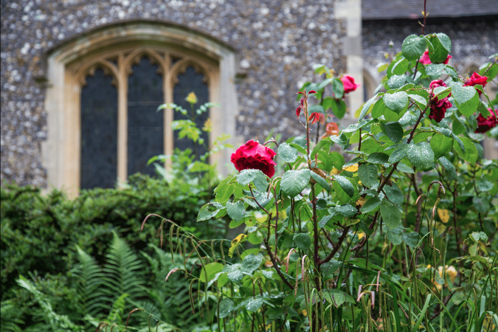 Harrow on the Hill, London, by Stephanie Sadler, Little Observationist