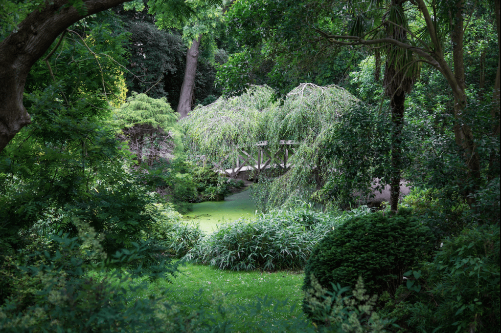 Eel Pie Island and York House Gardens by Stephanie Sadler, Little Observationist